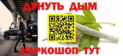 сатива Гагарин
