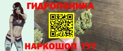 сатива Гагарин