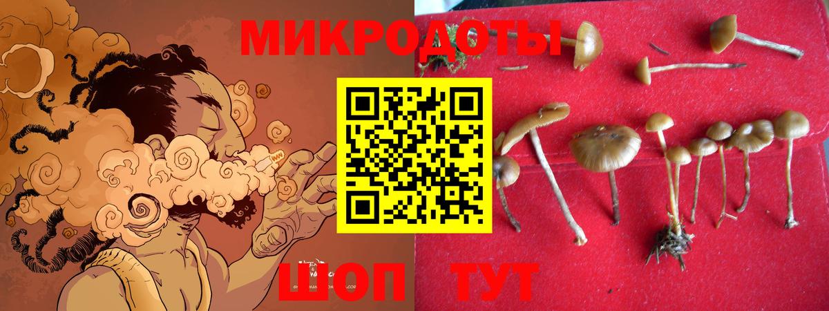 Галлюциногенные грибы ЛСД  Вход с VPN  цены   Гусиноозёрск  Галлюциногенные грибы Magic Shrooms 